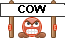Cow Dung!