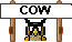 Cow Dung Owl!