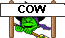 Cow Dung Witch